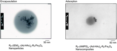 Selective preparation of novel fluoroalkyl end-capped cooligomeric nanocomposites.