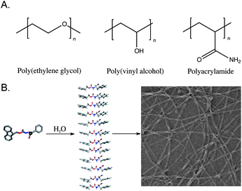 (A) Representative polymers commonly used to form covalent hydrogel networks for cell scaffolding. (B) Schematic representation of the self-assembly process that leads to the formation of a noncovalent hydrogel network.