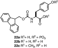 Chemical structures of Fmoc-Tyr derivatives.