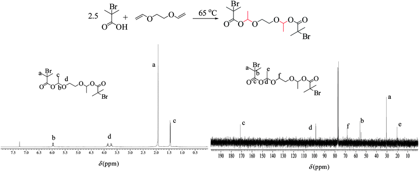 Reaction scheme for the synthesis of the degradable bifunctional ATRPinitiator and its structure confirmation by 1H and 13C NMR spectroscopy.