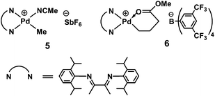 Typical Pd–diimine catalysts.