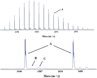 
          MALDI-TOF mass spectrum of a PVP synthesised by XA1-mediated RAFT/MADIXpolymerisation in water at 25 °C. Reaction time = 24 h. Mn,NMR = 1600 g mol−1. Matrix: 4-(4-nitrophenylazo)resorcinol. No cationisation agent. A = CH3OCOCH3CH–(NVP)n−1–CHCH(C4H6NO) (Na+), B = CH3OCOCH3CH–(NVP)n−1–CHCH(C4H6NO) (K+), C = CH3OCOCH3CH–(NVP)n–S(CS)OCH2CH3 (K+). See Fig. S2 in the ESI for the detailed experimental procedure.