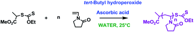 Synthetic scheme for redox-initiated RAFT/MADIXpolymerisation of N-vinyl pyrrolidone in water at ambient temperature.