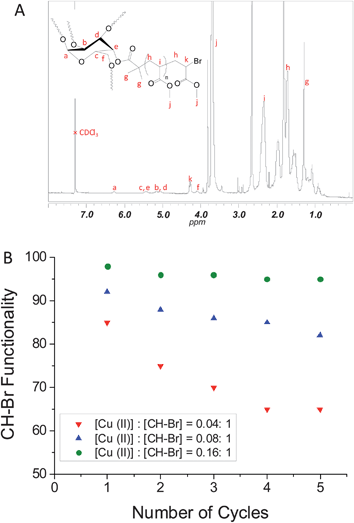 (A) 1H NMR spectrum of poly(MA)5 star polymer obtained by Cu(0)-mediated radical polymerization of methyl acrylate in five successive iterations in the presence of different initial amounts of Cu(ii); (B) Chain end functionality versus the number of cycles for different initial amounts of Cu(ii).