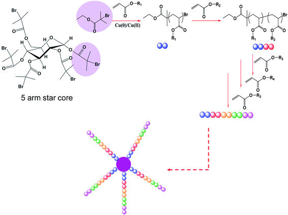 Synthesis of 5-arm star copolymersvia iterative Cu(0)-mediated radical polymerization.