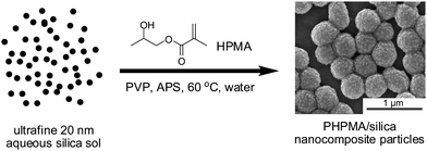 Reaction scheme for the formation of poly(2-hydroxypropyl methacrylate)/silica nanocomposite particles by aqueous dispersion polymerization at 60 °C in the presence of both PVP and an ultrafine silica sol as the stabilizing agents.