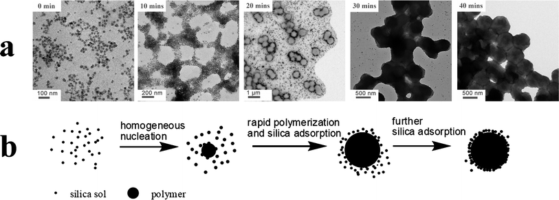 (a) TEM images obtained for reaction solutions after the following polymerization times: 0 min, 10 min, 20 min, 30 min and 40 min. (b) Suggested scheme for the mechanism of formation of the PHPMA/SiO2 nanocomposite particles based on these TEM images.