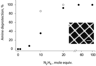 Degree of phthalimide removal from the PVAc terminus achieved by hydrazine hydrate taken at varying molar equivalents to Phthgroup in methanol at 60 °C over 30 min (filled circles) or 60 min (open circles). Inset: fluorescence microscopy image of a surface adhered PVA physical hydrogel obtained via a microtransfer molding technique and using a 4.5 kDa sample of PVA fluorescently labelled through the terminal amine functionality. Sample is imaged in PBS in the hydrated state, scale bar: 20 μm.