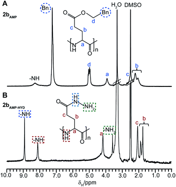 
            
              1H NMR spectra (d6-DMSO) and the assigned structures of (A) benzyl protected CCS polymer2bAMP and (B) hydrazide functionalized CCS polymer2bAMP-HYD.