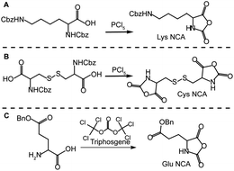 Synthesis of amino acidN-carboxyanhydrides (NCAs): (A) Nε-Z-lysineNCA (Lys NCA) and (B) cystineNCA (Cys NCA) using phosphorus pentachloride and (C) γ-benzyl glutamic acidNCA (Glu NCA) using triphosgene.
