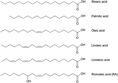 Main fatty acids issued from vegetable and castor oil.
