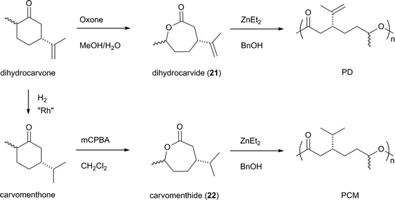 Formation of polyesters with lactones derived from dihydrocarvone.