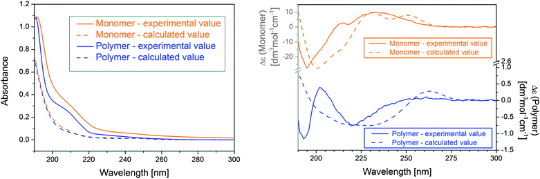 Theoretical and experimental absorption (left) and CD spectra (right) of AzaN and pAzaN300.