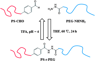Dynamic properties of PS-r-PEG.44
