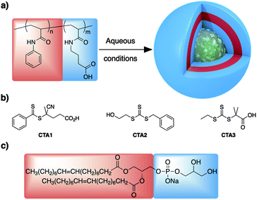 (a) Schematic representation of the polymers prepared in this work and their assembly into vesicles. (b) RAFT agent used in this work. (c) Model lipid used for vesicle stability comparison.