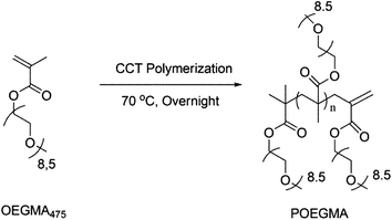 Catalytic chain transfer polymerization of OEGMA yielding vinylic terminated POEGMA.