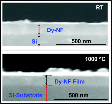 The SEM cross-sectional images of NiFe1.925Dy0.075O4 films. (a) RT and (b) Ta = 1000 °C. The Si-substrate and the NiFe1.925Dy0.075O4 film regions are as indicated in the micrographs. No significant interfacial reactions or compound formation occurs at the Si–NiFe1.925Dy0.075O4 interface.