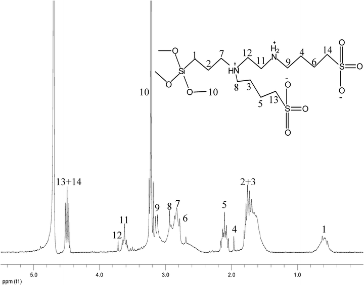 
            1H NMR of a multi-ionic ZI silica precursor.