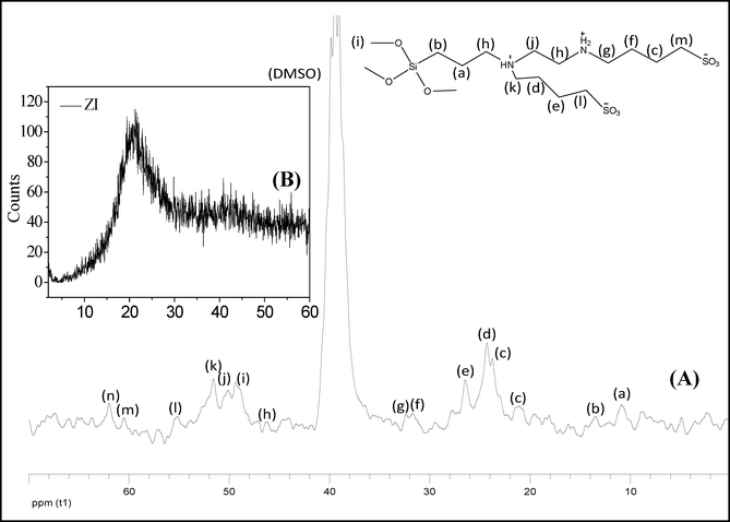 Multi-ionic ZI silica precursor (A) 13C NMR in d6-DMSO (B) XRD.