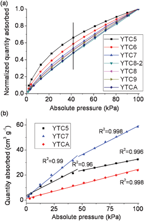 (a) Normalized CO2 quantity adsorbed and (b) the correlation between absolute pressure and quantity adsorbed for the prepared carbons.