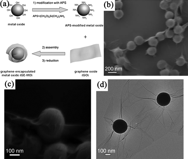(a) Schematic illustration of fabrication of RGO-encapsulated oxide NPs. (b,c) Typical SEM, and (d) TEM images of RGO-encapsulated silica spheres. Reprinted with permission from ref. 366. Copyright 2010, John Wiley & Sons, Inc.