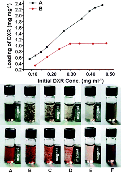 (Top) Loading capacity of DXR on GO (A) and GO–Fe3O4 composite (B) in different initial DXR concentrations. (Bottom) Photographic images of the behaviors of GO–Fe3O4 composite (upper) and GO–Fe3O4 composite loaded with DXR (lower) in the magnetic field under different conditions: neutral conditions (A), acidic conditions (pH 2–3) (B–E) and basic conditions (pH 8–9) (F). Reprinted with permission from ref. 216. Copyright 2009, Royal Society of Chemistry.