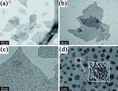 
                TEM images of Au NDs uniformly decorated on RGO sheets. Reprinted with permission from ref. 213. Copyright 2011, Royal Society of Chemistry.