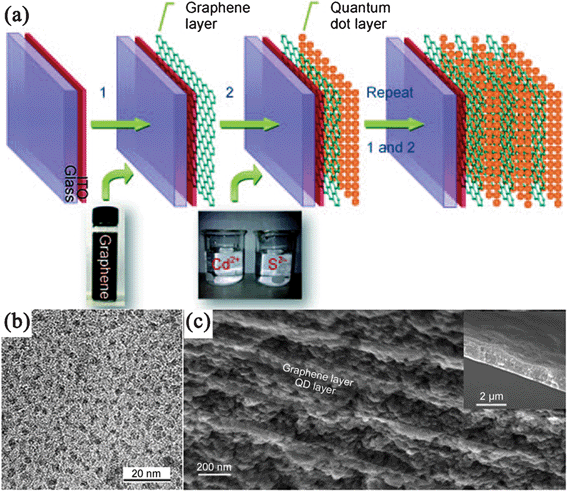 (a) Fabrication of multilayered GN–CdS QDs nanocomposite. (b) TEM images of CdS QDs on GN nanosheets, (c) Cross-sectional scanning electron microscopy (SEM) image of a (GN–CdS QDs)10 sample. The inset shows its thickness. Reprinted with permission from ref. 228. Copyright 2010, John Wiley & Sons, Inc.