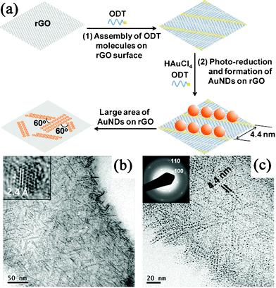 (a) Schematic illustration of the in situ synthesis and assembly of Au NDs on RGO. (b) TEM and (c) magnified TEM images of ODT-capped Au NDs synthesized in situ on RGO surface. Reprinted with permission from ref. 250. Copyright 2010, John Wiley & Sons, Inc.