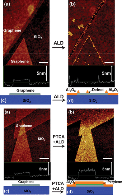 
                ALD of Al2O3 on (Top) pristine GN and (Bottom) PCTA-coated GN. (a) Atomic force microscopy (AFM) image of GN on SiO2 before ALD. (b) AFM image of the same area as (a) after Al2O3 ALD deposition. (c) and (d) Schematics of GN on SiO2 before and after ALD. Reprinted with permission from ref. 330. Copyright 2008, American Chemical Society.