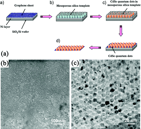 (a) Procedure to synthesize a CdSe QDs array on the basal plane of a GN using a mesoporous silica thin film as a template. (b) TEM and (c) High-resolution TEM (HRTEM) images of a CdSe quantum-dot array grown on the GN. Reprinted with permission from ref. 341. Copyright 2010, John Wiley & Sons, Inc.