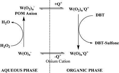 Conceptual model of catalytic oxidation in UAOD process. W(O2)n− represents the Keggin heteropolytungstate anion, Q+ represents the quaternary ammonium cation of octyl from the PTA.139–141