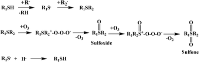 Mercaptan oxidation and transformation via radiation assisted oxidation.101