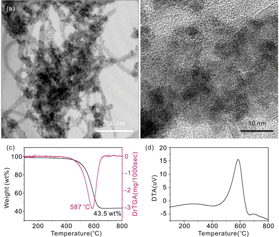 
            TEM (a), HRTEM (b), TGA, DTG (c), and DTA curve (d) of the Fe–SnO2/MWCNT-2 heterojunctions.