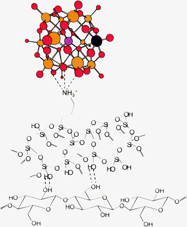 Schematic representation of the main plausible chemical interactions that occur in the novel cellulose/silica hybrids functionalized with POM (silica is bound to cellulose essentially by hydrogen bonding though minor frequency covalent bonding cannot be completely excluded). In the ball and stick representation of the Keggin structure of POM the P, Mo (or W) and O atoms are depicted as pink, orange and red spheres, respectively. The substituting heteroatom (vanadium) is shown in blue.