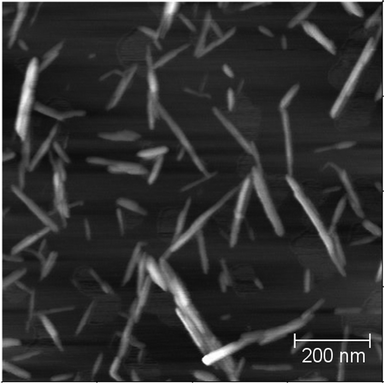 
            Atomic force microscopy image of CNC isolated from cotton.