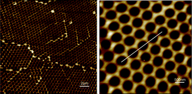 AFM pictures of the gold/SiOx nano-templates. The scale bars represent 2 μm and 500 nm.