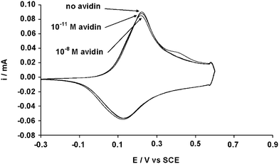 Cyclic voltammogram of polyB12 (0.01 M) after exposure to different amounts of avidin.