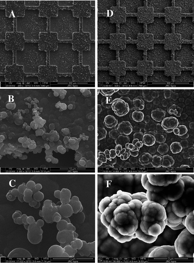SEM images of polyB2 (scale bar: (A) 200 μm, (B) 10 μm and (C) 3 μm) and polyB12 (scale bar : (D) 200 μm, (E) 10 μm and (C) 3 μm) electrodeposited on micro-patterned gold plates; Qs = 300 mC cm−2.