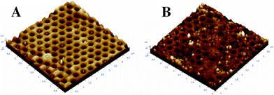 AFM pictures of polyB2 electrodeposited on nano-structured gold/SiOx plates with a deposition charge of (A) 5 and (B) 7.5 mC cm−2; the area represents 5 × 5 μm2.