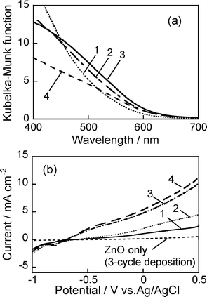 
            Diffuse reflectance spectra of ZAIS(1.0)/ZnO–rod/FTO electrodes (a) and their current potential curves under Xe lamp irradiation (λ > 350 nm) (b). The number in the figure represents the number of ZnO deposition cycles.