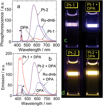 
            TTA upconversion with the complexes as the sensitizers and DPA as the triplet acceptor. (a) Phosphorescence profile of sensitizers without DPA. (b) Upconverted emission in the presence of DPA. (c) Photography of the upconversion with Pt-1 and (d) with Pt-2. Excited with 445 nm laser. The asterisks in a and b indicated the scattered laser. c [sensitizers] = 1.0 × 10−5 M. c [DPA] = 4.3 × 10−5 M. In deaerated toluene. 20 °C.