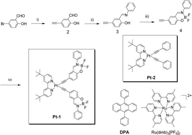 Synthesis of Pt-1. The model complex Pt-2 and the triplet acceptor 9,10-diphenylanthracene (DPA) used in the TTA upconversion, as well as the model triplet sensitizer Ru(dmb)3[PF6]2, are presented. (i) Pd(PPh3)4, CuI, NEt3, ethynyltrimethylsilane, argon atmosphere, 80 °C, 3 h, then THF, TBAF, room temperature, 30 min, 36.8%; (ii) aniline, ethanol, 50 °C, 4 h, 95% (iii) CH2Cl2, NEt3, BF3–Et2O, room temperature, 20 min, 71%. (iv) CH2Cl2, i-Pr2NH, room temperature, 24 h, 54%.