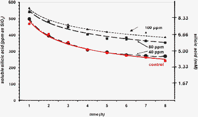 The effect of PEGP+-1000 (at 40 (0.028), 80 (0.057) and 100 (0.071) ppm (mM) levels) on silicic acid stabilisation, during an 8 h period.