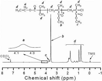 
            1H NMR spectrum of PMMA (Mn,GPC = 18 500 g mol−1, Mw/Mn = 1.30) obtained in the presence of air with CDCl3 as solvent and tetramethylsilane (TMS) as internal standard. Polymerization conditions: [MMA]0/[EBiB]0/[FeCl3·6H2O]0/[PPh3]0/[CuCl]0 = 300 : 1 : 0.5 : 1.5 : 0.1; in bulk; MMA = 3 mL; time = 50 min; conversion = 49.6%; T = 90 °C.