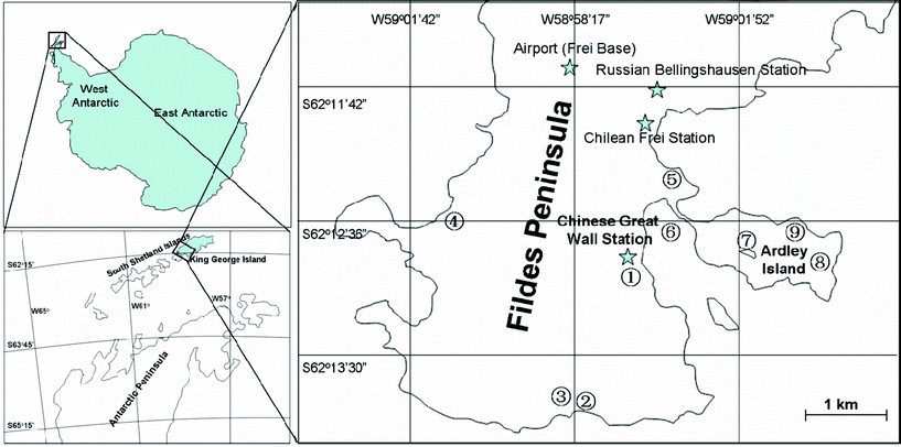 Distribution of the sampling sites in west Antarctic Peninsula. Sampling sites: 1. Badaling, 2. Biyutan, 3. Xiangjiao Mt., 4. Seal Bay, 5. Banbian Mt., 6. Great Wall Bay, 7. Yueya Lake, 8. East Ardley, 9. Dengta.