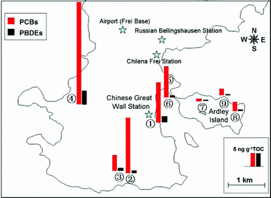 Spatial distribution of the TOC-normalized concentrations of PCBs and PBDEs in the soil and sediment samples.