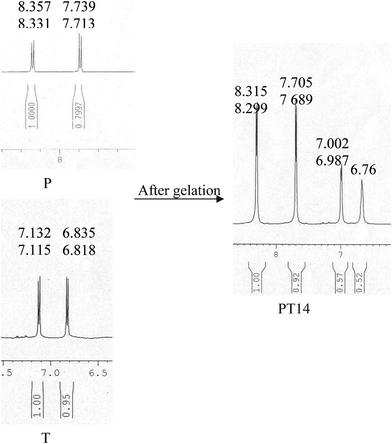 Comparison of the 1H NMR spectra of P and T (aromatic CH protons) with that of the PT14 hydrogel.