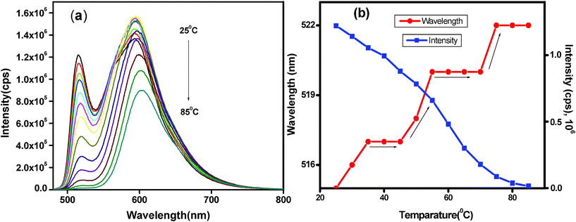 (a) Temperature dependent PL spectra of PT14 hydrogel at 1.5% (w/v) excited at 440 nm during heating (25–85 °C) and (b) corresponding shift of λmax and intensity with respect to temperature.
