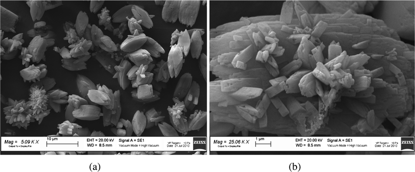
            SEM images of the LiFePO4 sample at low (a) and high (b) magnification.